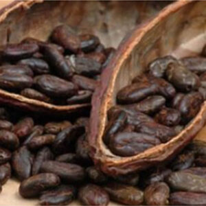 Cacao Ceremonial