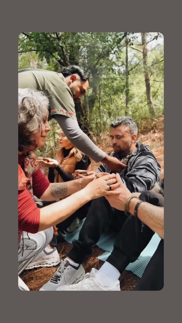 Y como es ir al bosque a vivir un viaje a tu interior 🍄?? 
Bueno ... No te lo platico ven y vive está hermosa experiencia .
#oaxacamexico #sanacion #ceremoniadehongos #sierrasuroaxaca #aventuras
