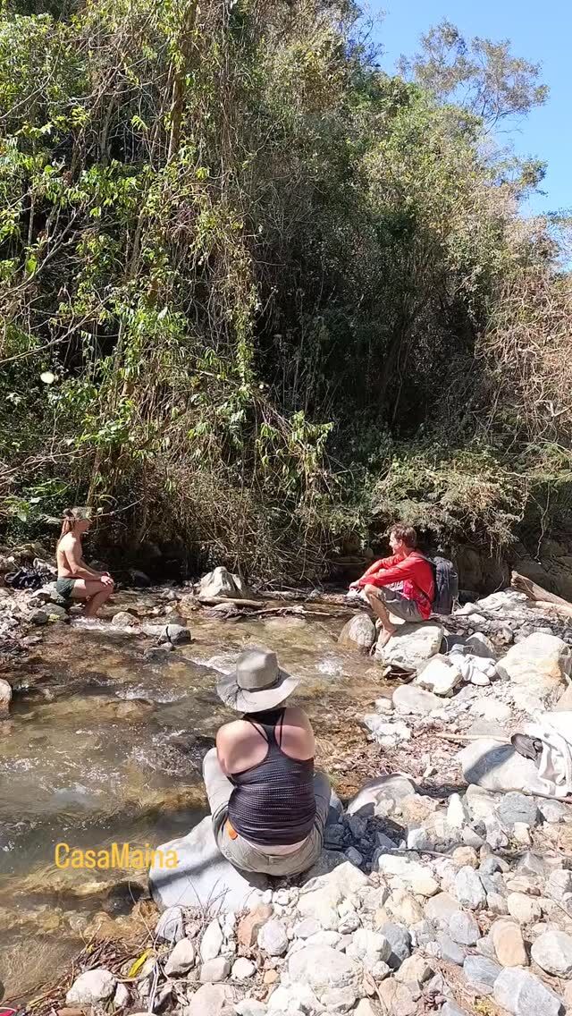 Caminatas en el corazón de la montaña compartiendo con amigos y familiares ✨
#caminataconciente #sanjosedelpacifico #hongosmedicinales #conexionespiritual