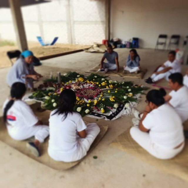 Encontrando un espacio para la sanación en cada lugar que nos invitan ... Sembrando los corazones ✨🍄‍🟫🫶🏽
#ceremoniadehongos #hongosmedicinales #sanacion #descubreoaxaca
