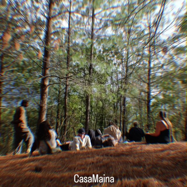 Somos un círculo dentro de un círculo 🌀 .... Aquí nadie es más que el otro todos somos iguales y nos acompañamos con empatía .... Bosque , amigos , hongos .... Sanación ✨🙌🏽
#sanjosedelpacifico #sanacion #ceremoniadehongos #retiroespiritual