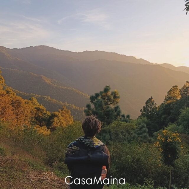 Contemplando la inmensidad de la montaña ⛰️ gracias por todo lo que nos das . 
#corazondelamontaña #ceremoniadehongos #hongosmedicinales #sanjosedelpacifico