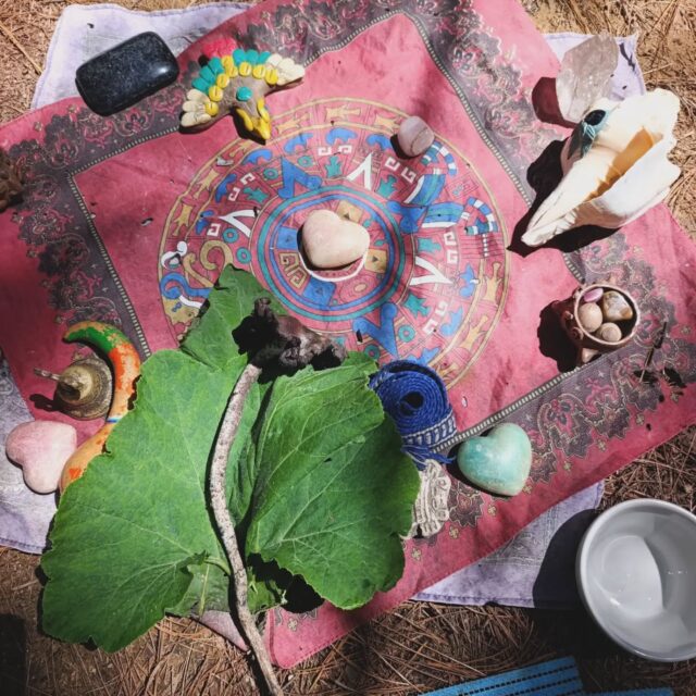 Amor por estos hermosos seres que son los hongos 🍄‍🟫 ✨🫶🏽
#fungilovers #sanacion #hongosmedicinales #ceremoniaancestral