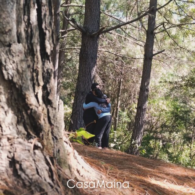 Recuerden q por la mañana es un día más, por la noche un día menos, vivan 🙏🏻🌷
#sanjosedelpacifico #sanacion #ceremoniadehongos #máscorazonescontentos