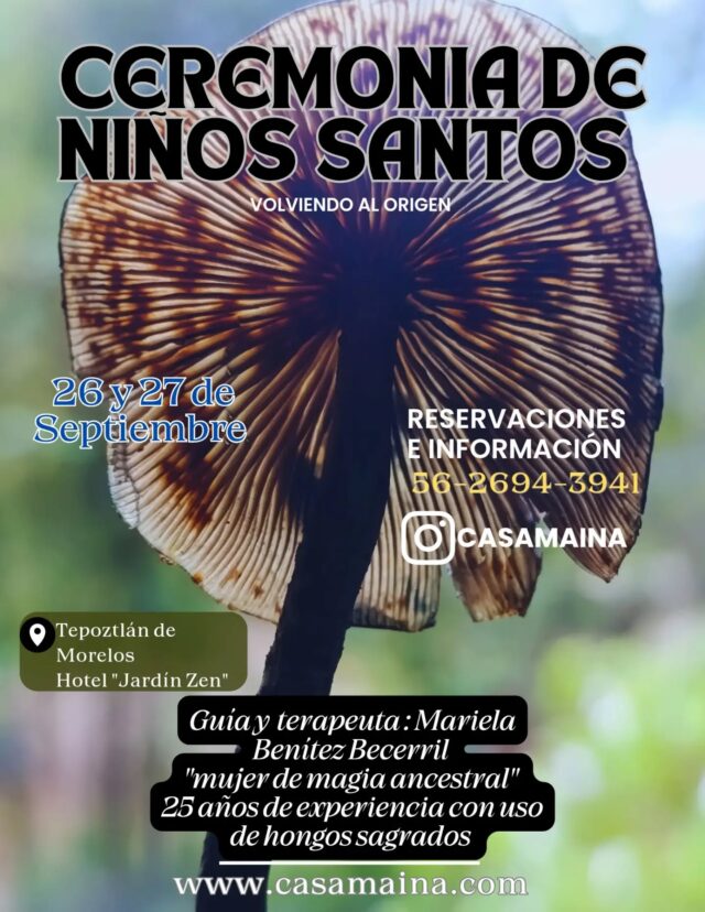 Ceremonia con hongos sagrados en Tepoztlán de Morelos 26 y 27 de Septiembre . Incluye;
 - Ceremonia de hongos 
 - Temazcal
 - Tres comidas 
 - Hospedaje hotel "Jardin Zen"
Pregunta por los costos y más detalles al 56-2694-3941