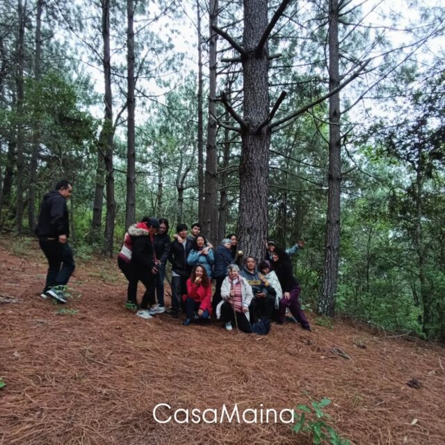 Hongosto en familia 🌲🍄✨
#ceremoniadehongos #sanacion #sanjosedelpacifico