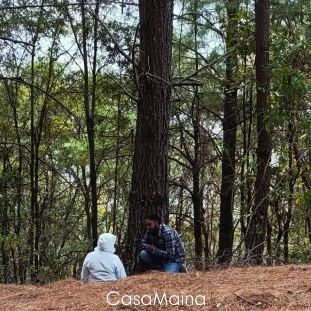 No es cuestión de solo venir ,encerrarse en una cabaña a comer hongos . Se trata de venir con humildad a conectar con la montaña y encontrarte en medio del bosque en un viaje a tu interior en una ceremonia guiada desde el amor y la intención siempre de sanar mediante el sagrado Teonanåcatl .... Es un servicio que compartimos siempre en familia desde el corazón con lo que los años nos han permitido aprender desde la experiencia propia... ✨🌄🍄
#ceremoniadehongos #hongosmedicinales #sanjosedelpacifico #sanacion #bosque