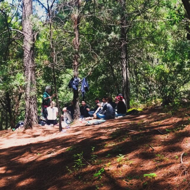 El espíritu del bosque , el corazón de la montaña venimos con amor y respeto a aprender.... ✨🌲🍄‍🟫
#ceremoniadehongos #sanacion #derrumbemagico #aventuras